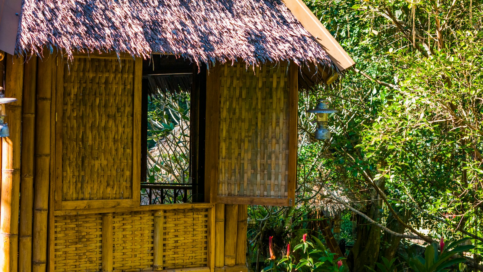 Salagdoong Treehouse Cottages photo 2