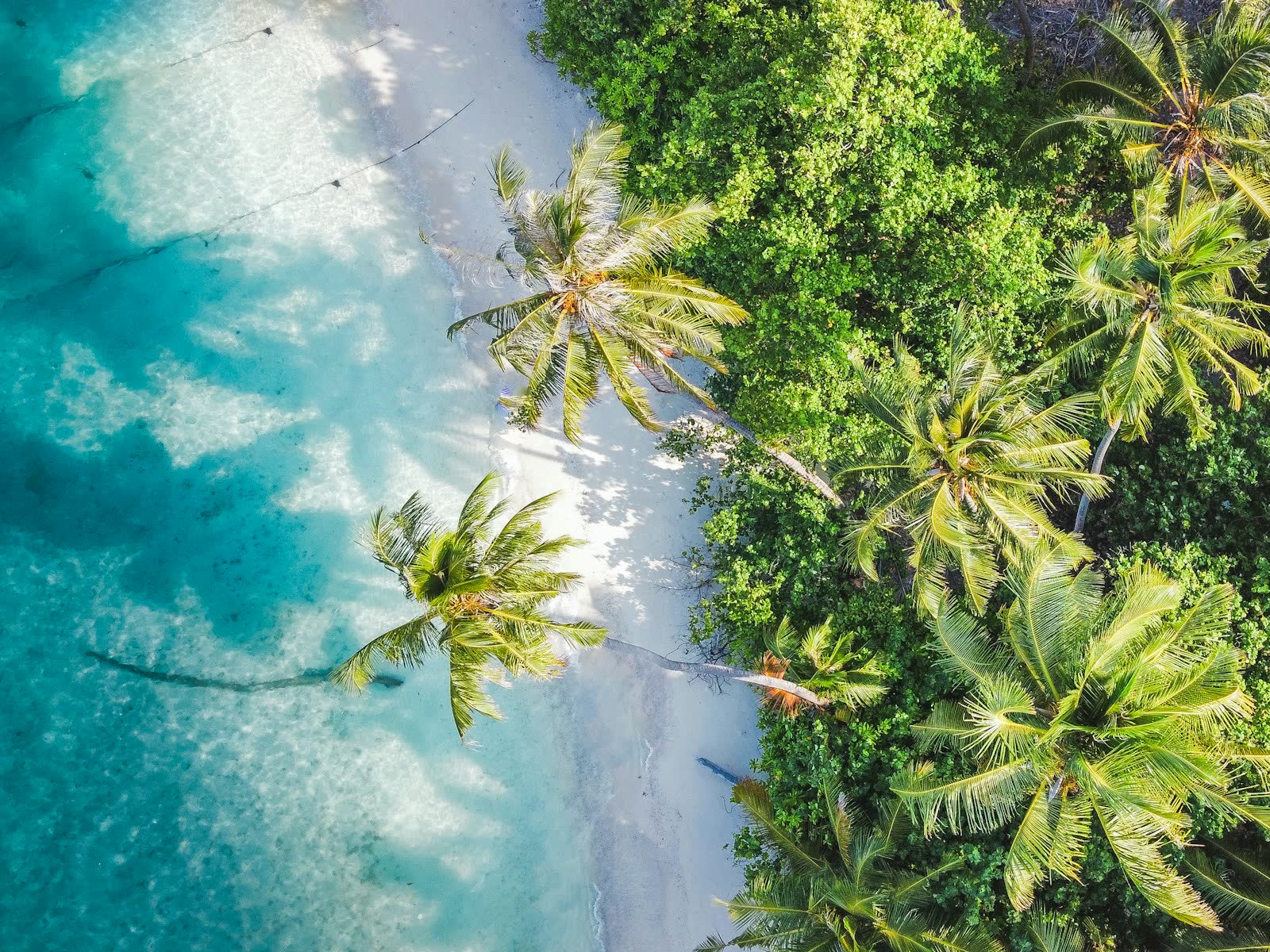 Siargao Surf Shack photo 2
